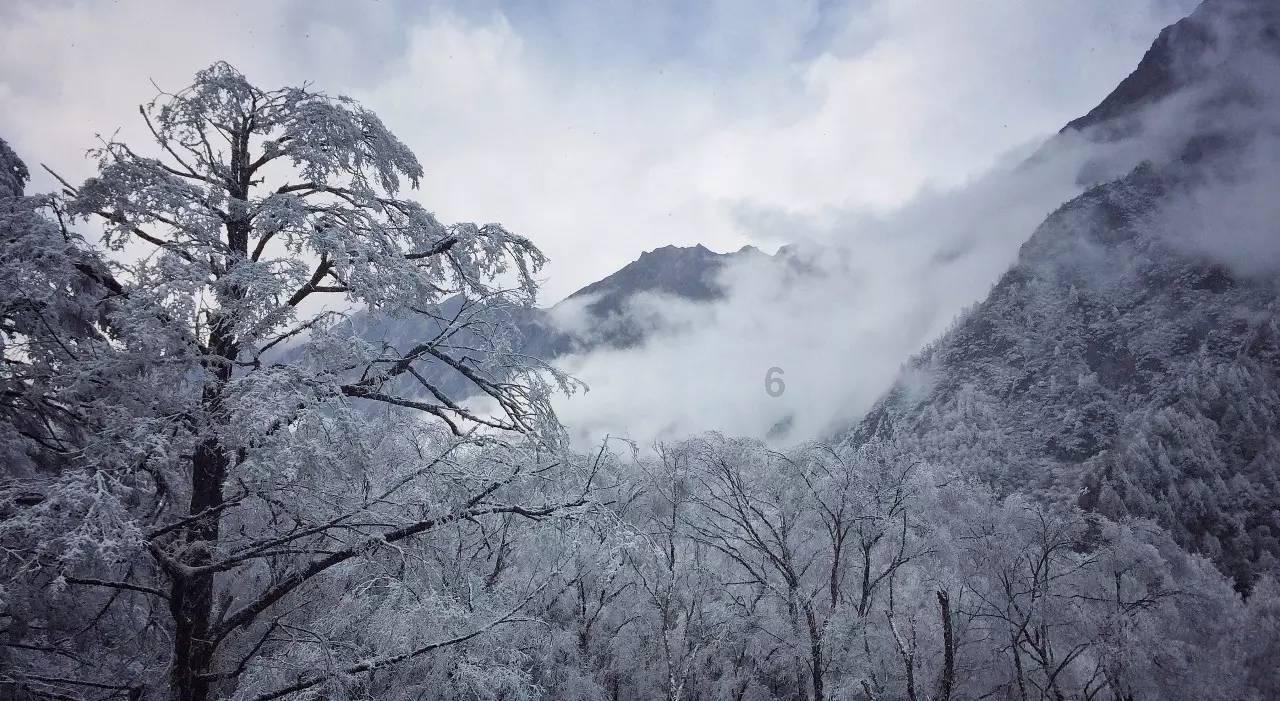 孩子感冒流鼻涕属于较为常见,需要怎么做效果比较好?-机智问答平台